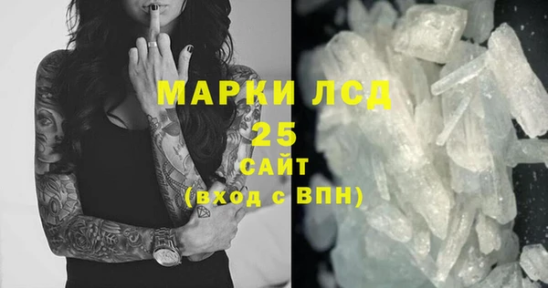 шишки Абаза