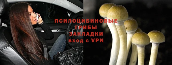 шишки Абаза