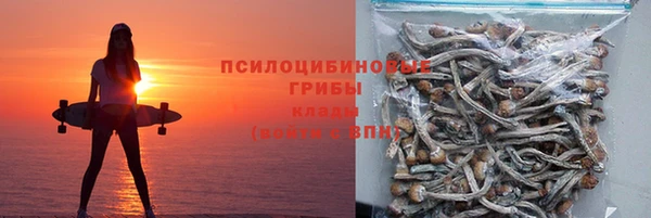 шишки Абаза