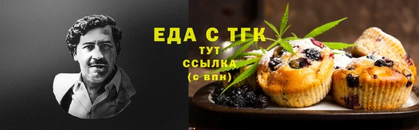 шишки Абаза