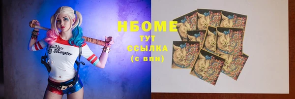 шишки Абаза