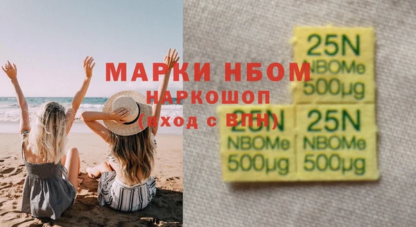 шишки Абаза