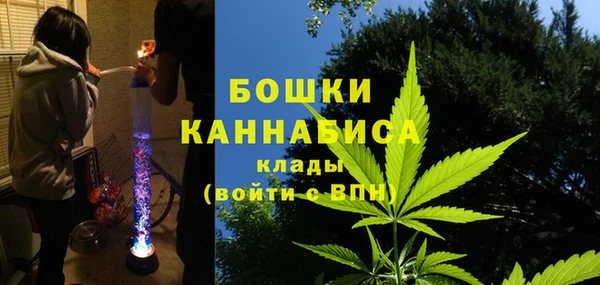 ПСИЛОЦИБИНОВЫЕ ГРИБЫ Абдулино