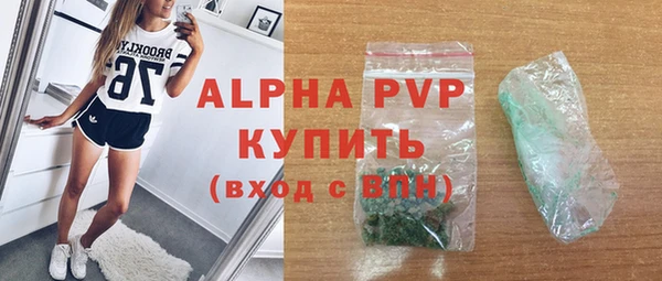 шишки Абаза