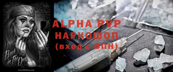 шишки Абаза