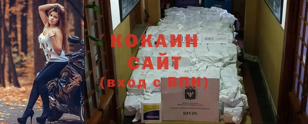 шишки Абаза