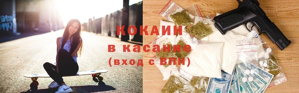 шишки Абаза