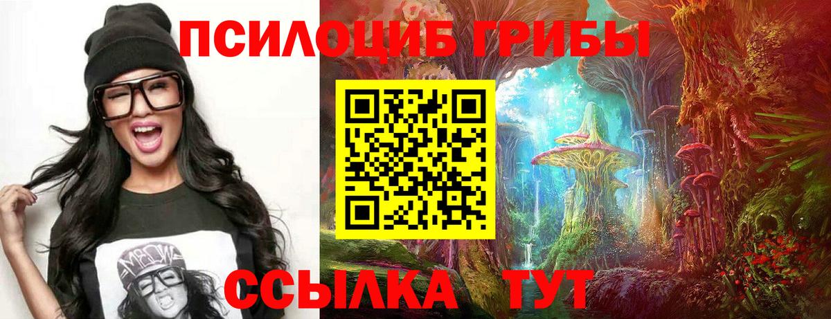 Псилоцибиновые грибы Psilocybine cubensis  Вход с VPN  Александров 